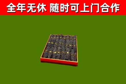 日土县烟酒回收海参.jpg
